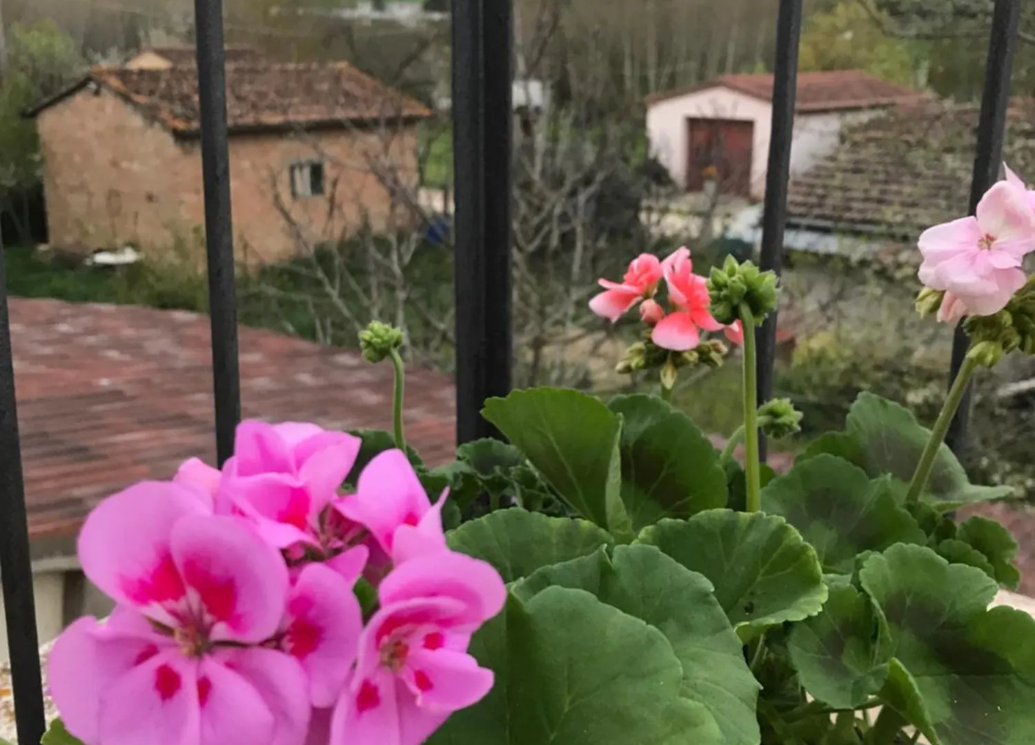 Appartamento Il Giuggiolo Montalcino