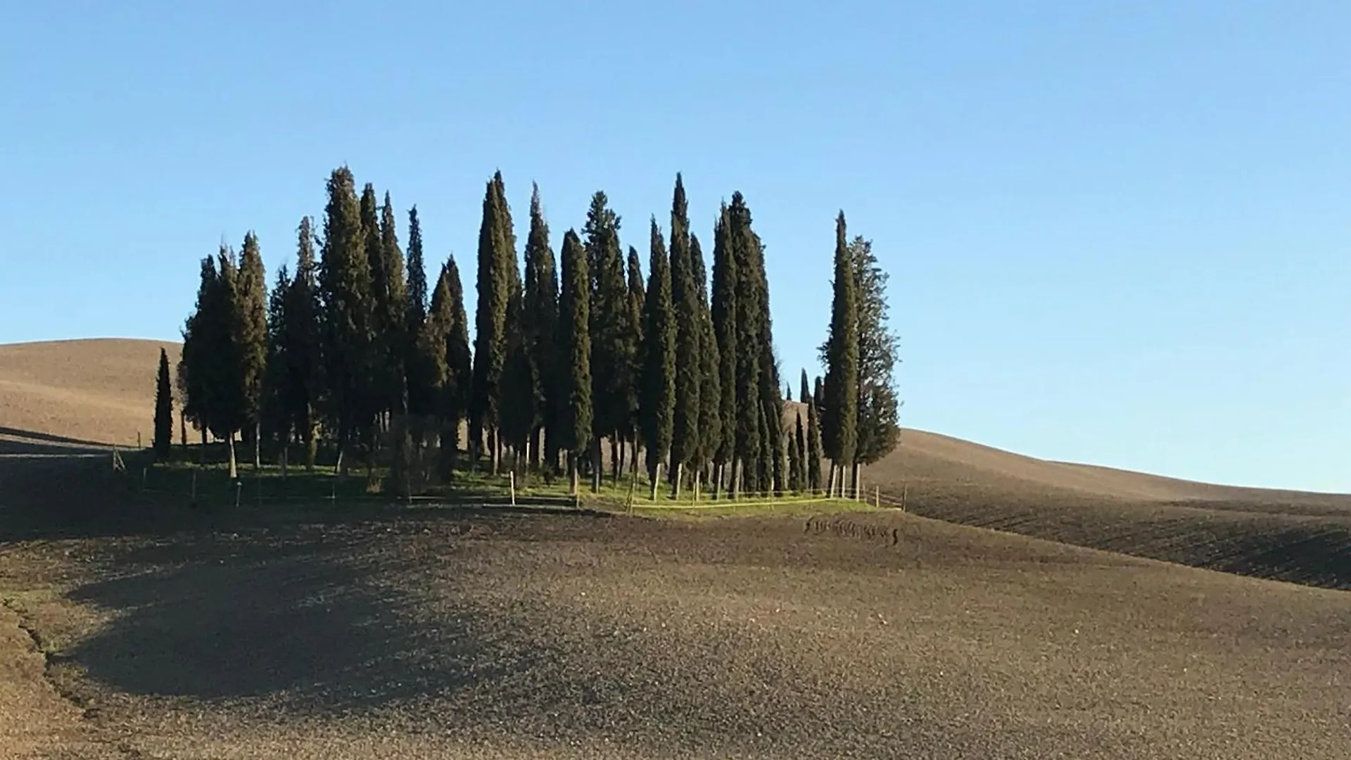 Appartamento Il Giuggiolo Montalcino Italia